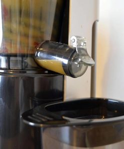 Filtre anti pulpes, compatible avec l’extracteur de jus Healthy Juicer