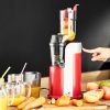 Extracteur de jus de fruits et légumes Healthy Juicer