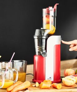 Extracteur de jus de fruits et légumes Healthy Juicer